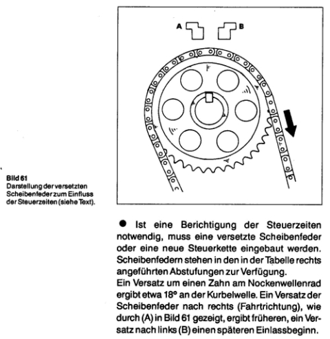 http://www.rapsinfo.de/tmp/Kette4.jpg